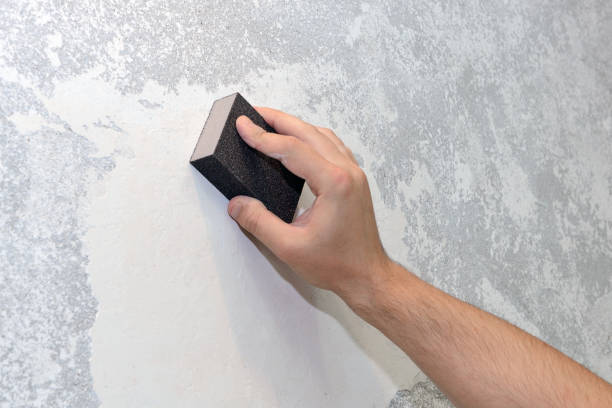 Best Commercial Mold Inspection  in Clarksville, IN