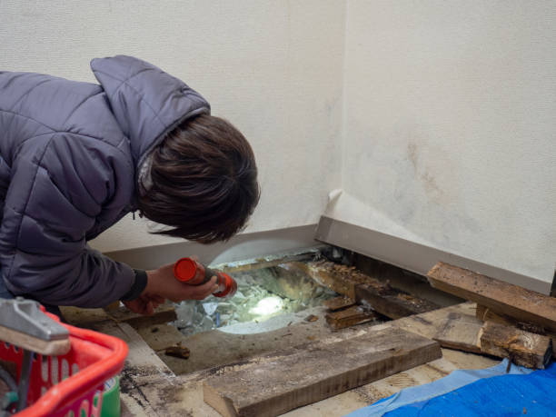 Best Real Estate Mold Inspection  in Clarksville, IN