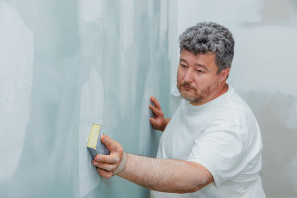 Best Water Damage & Mold Remediation  in Clarksville, IN